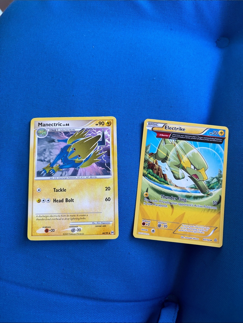 Pokémon Cards Electrike HP 50 2015 Manectric HP90 2009 NWOTS ElectricTypePokemon